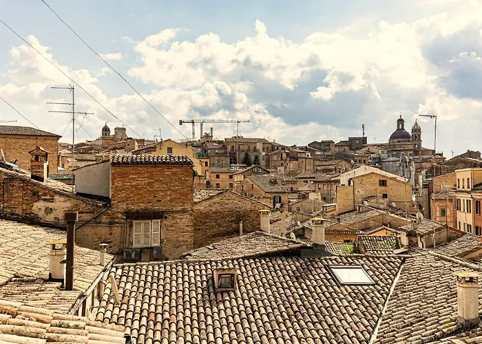 Woodpecker Nest Apartment